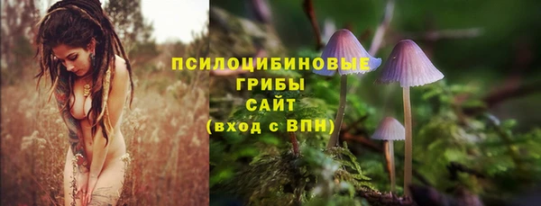 бошки Горняк