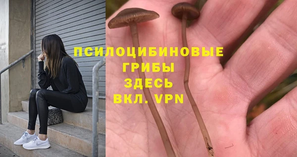 дмт Вязники